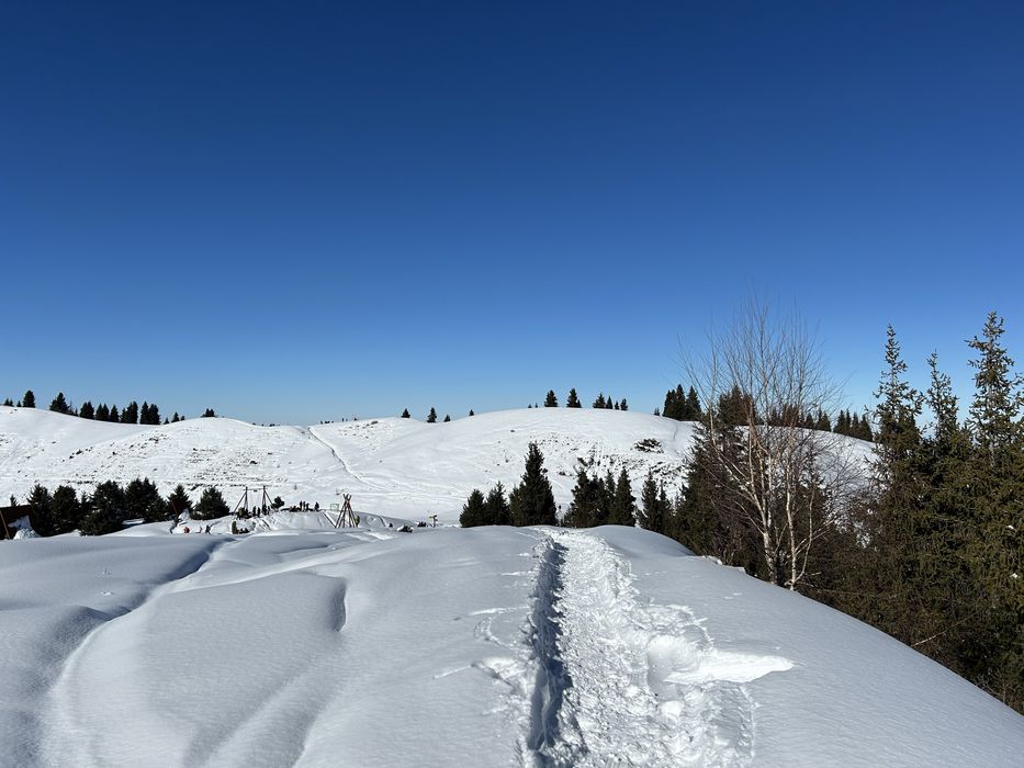 Продам  электросамокат xiaomi 1s