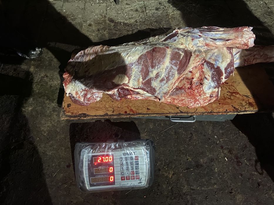 Мясо говядина. Сиыр еті. Ет