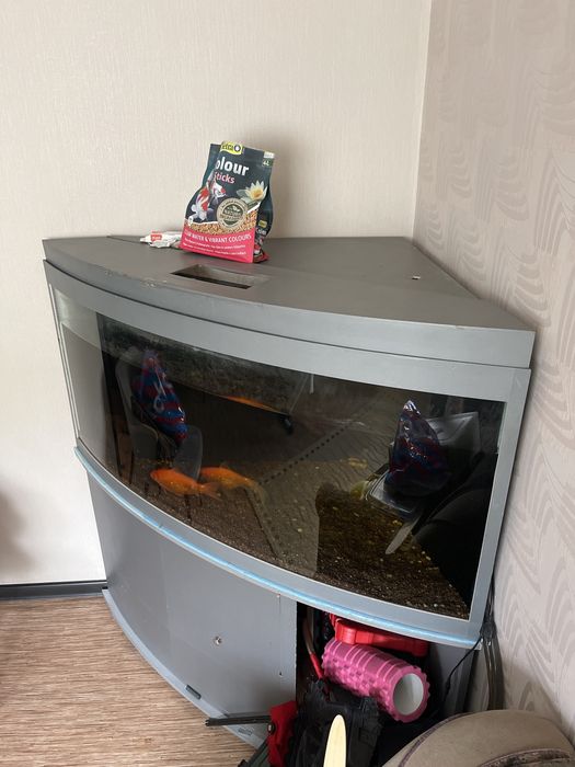 Аквриум угловой .