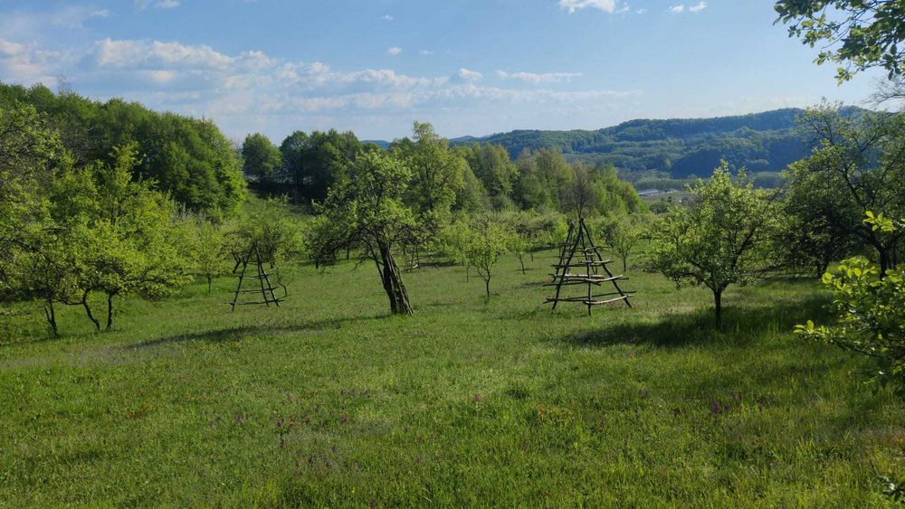 Teren de vanzare (1,7 €/mp) in Suici, Arges