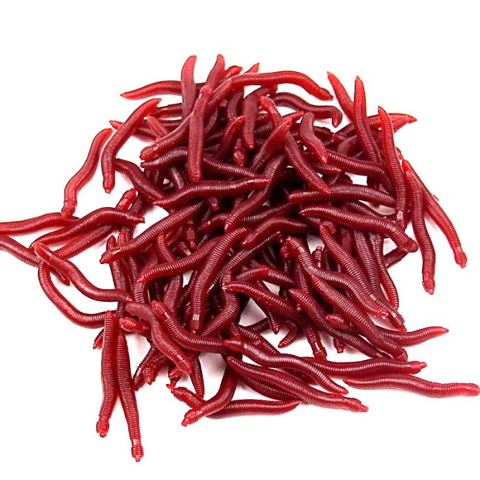 Рибарски примамки,стръв, силиконови скариди, червеи, царевица