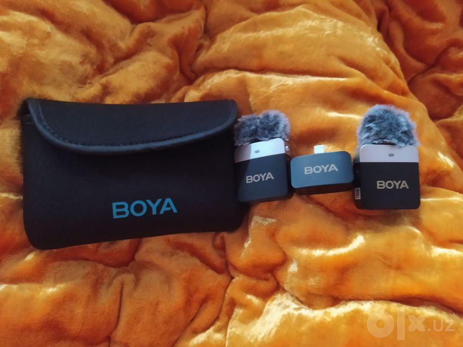 Boya Arginal Navushni