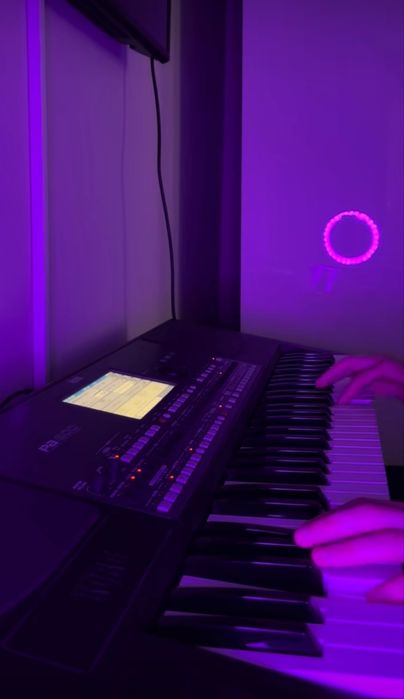 Orgă  korg pA600