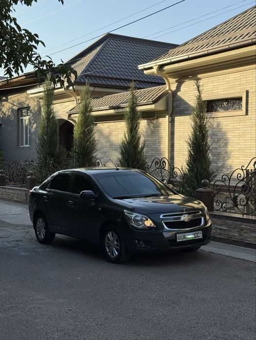 Cobalt Kobalt Кобалт 2023 polniy navarot toza