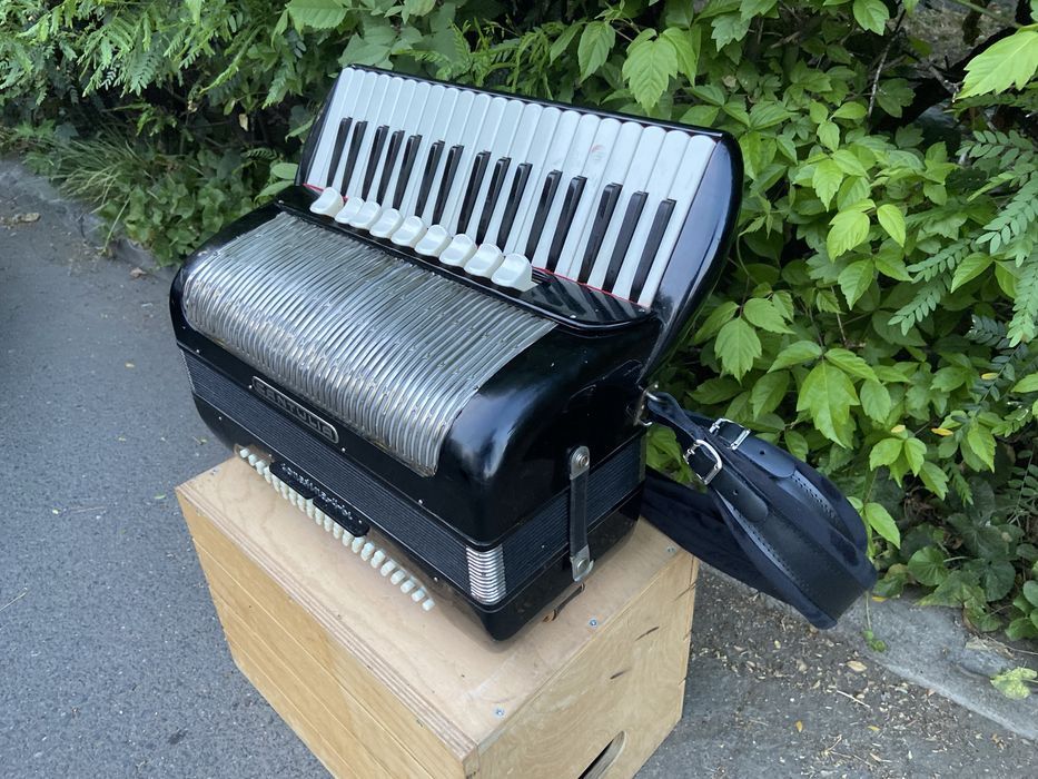 Acordeon nemtesc Cantulia cu 96 de basi ton de orga