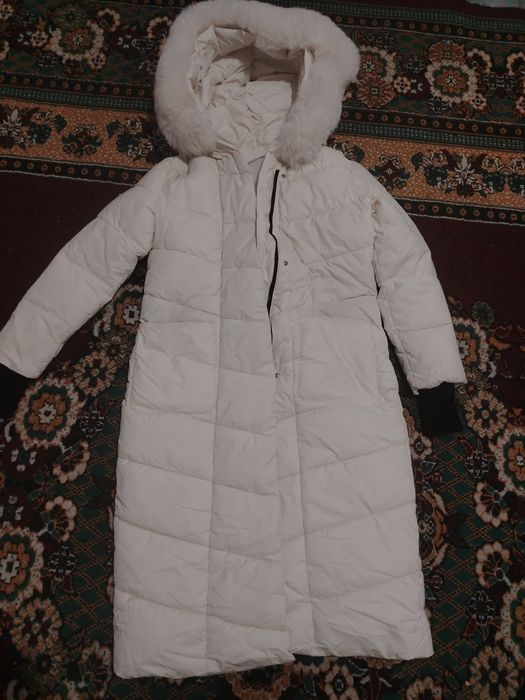 Kurtka sotiladi yengi