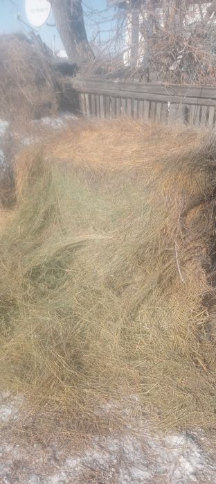 Продам сено житняк. Цена 4000