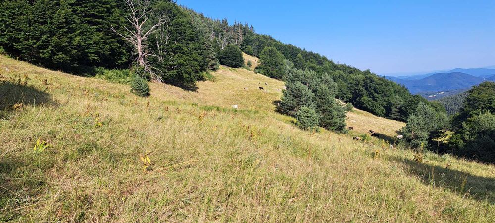 Продава земя в Родопите