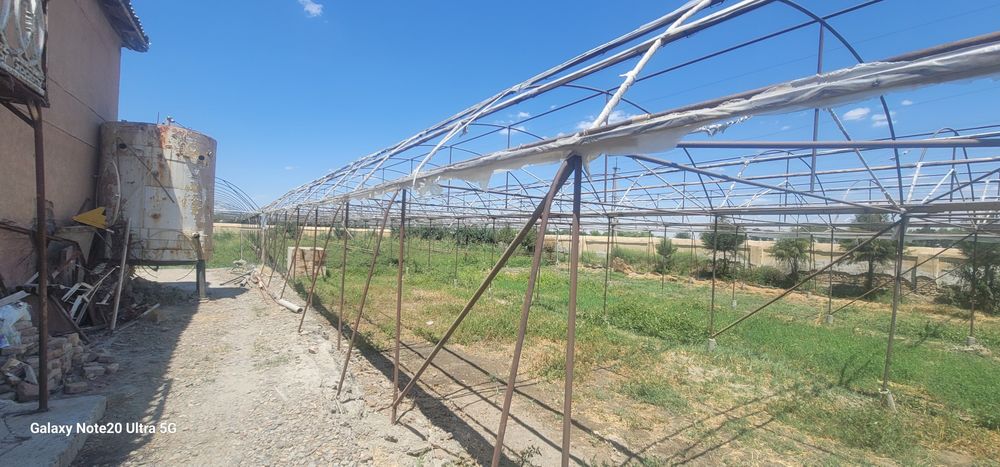 Parnik siotiladi 10 sotix