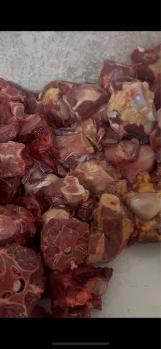 Ет сүт өнімдері.