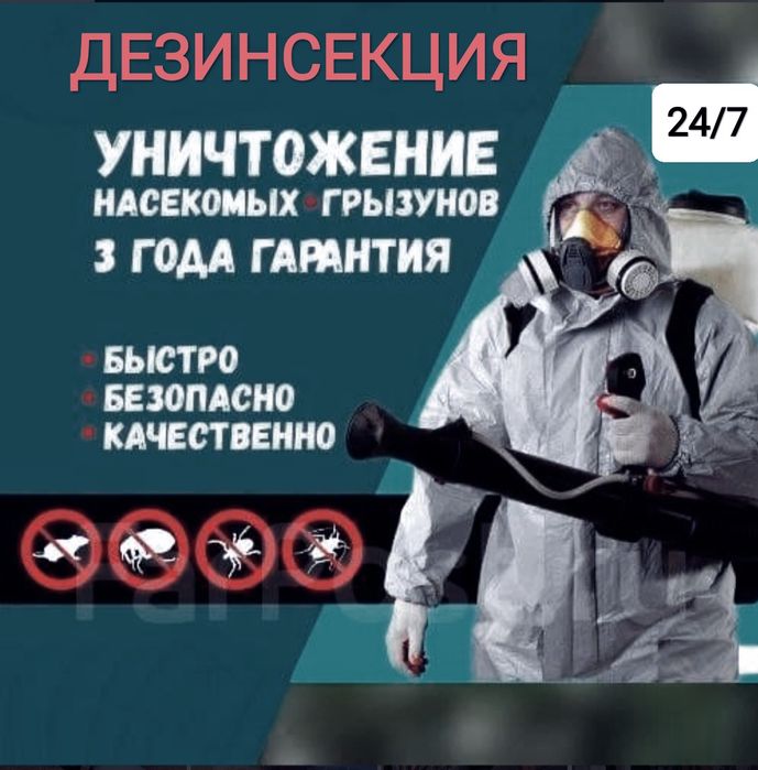 Дезинфекция всех насекомых и грызунов