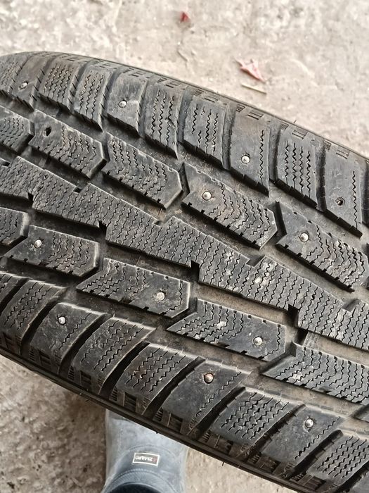 Продам шину зимняя