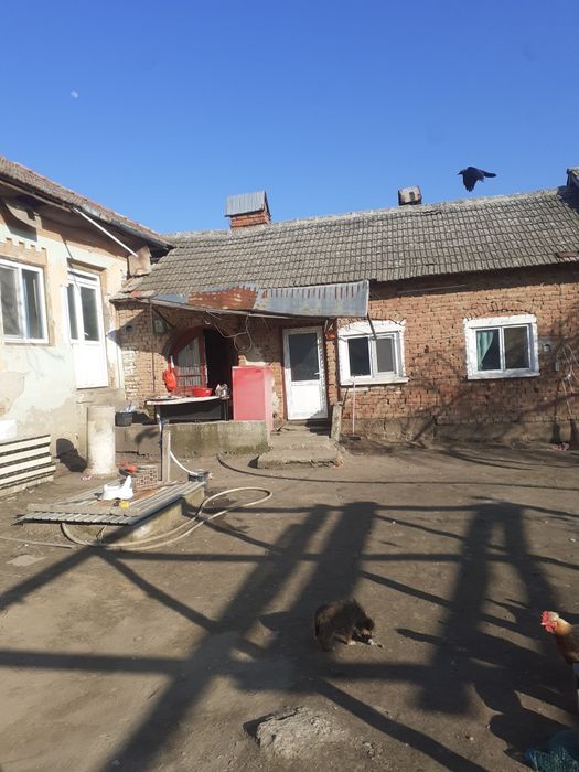 Casa de vanzare OSTROVENI URGENT