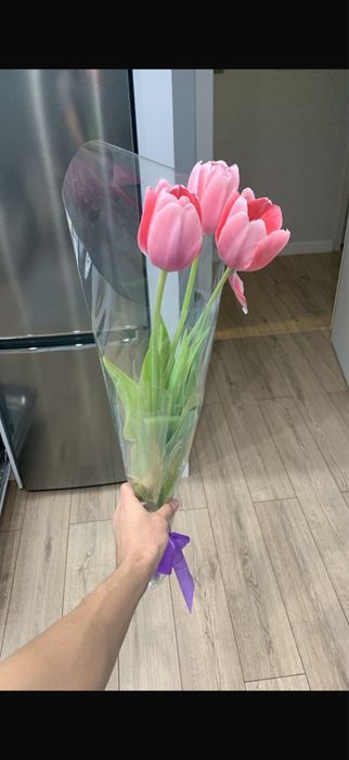 Продаются свежие тюльпаны