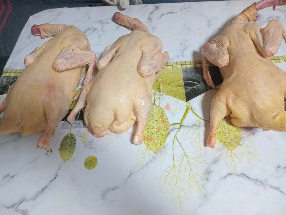 Продаю домашную утку