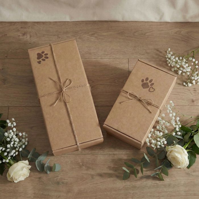 Ковчег за домашни любимци