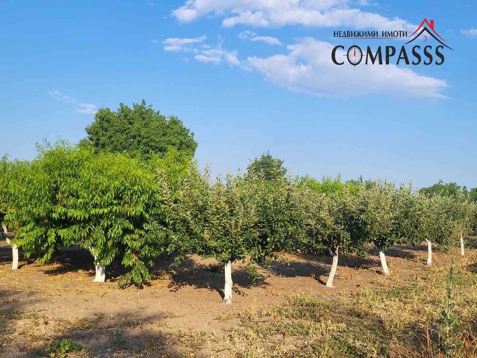 Продава се Парцел в с. Методиево, Област Добрич - 1250 кв.м за 7 €/кв.м - Снимка #1