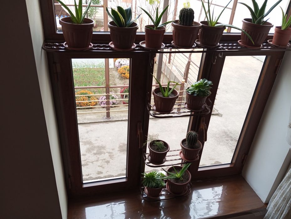 Gul podstavka zakazga