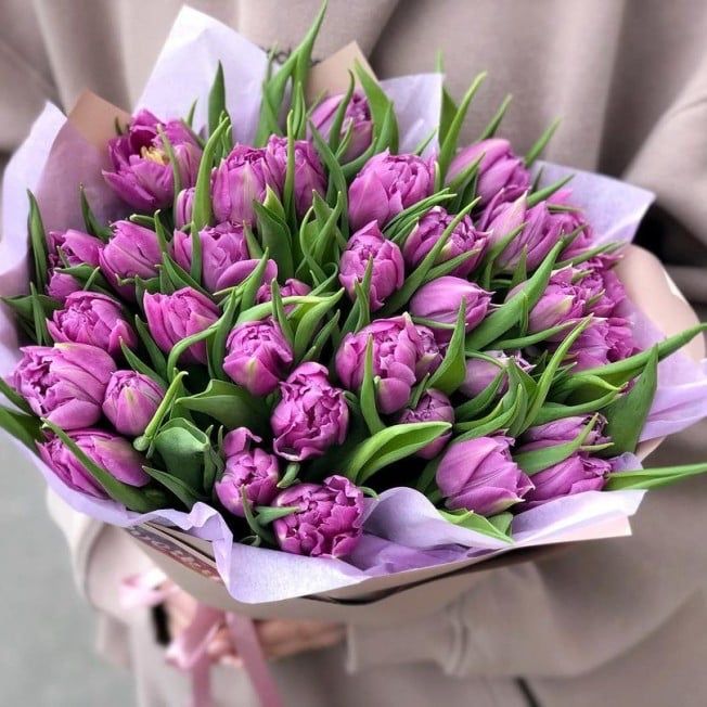 Тюльпаны на 8 марта