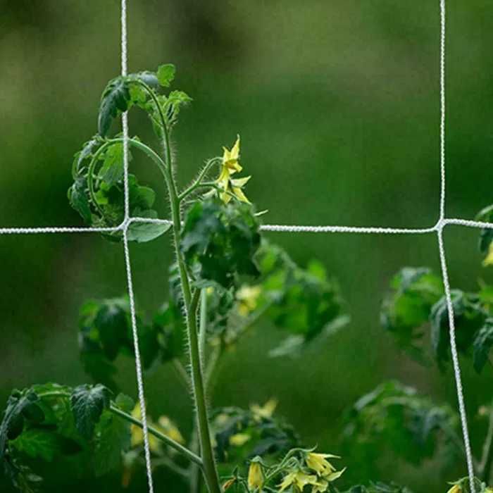 Plasa pentru castraveti, rosii, vita de vie, dovleci. 1,67 × 5m Noua!