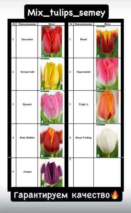Тюльпаны на 7-8 марта