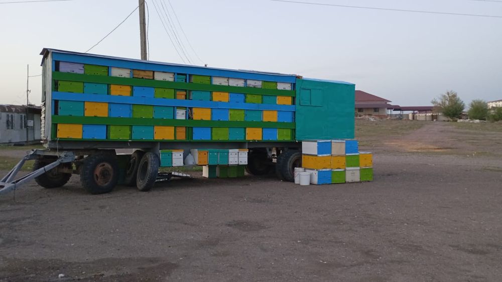 Пчелоповельён 9 метров