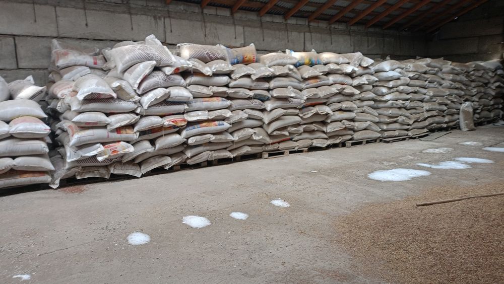 Продам Лён срочно