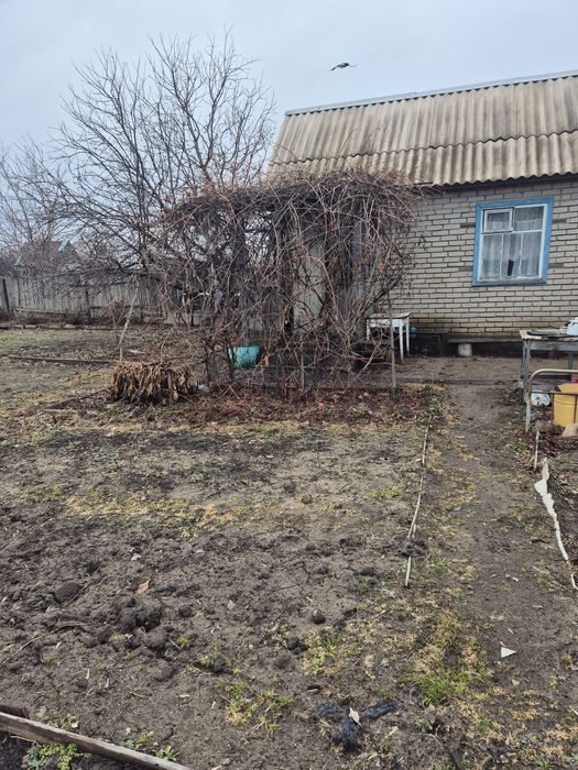 Дача, 17 маршрут. 7 общество