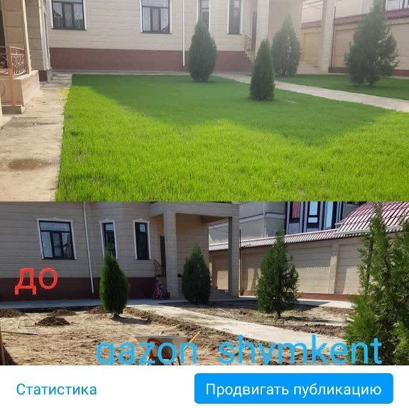 Посадка Газона Качественно!