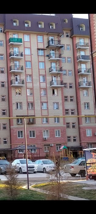 3/6/10 ДУСТЛИК МЕТРО.  85 000