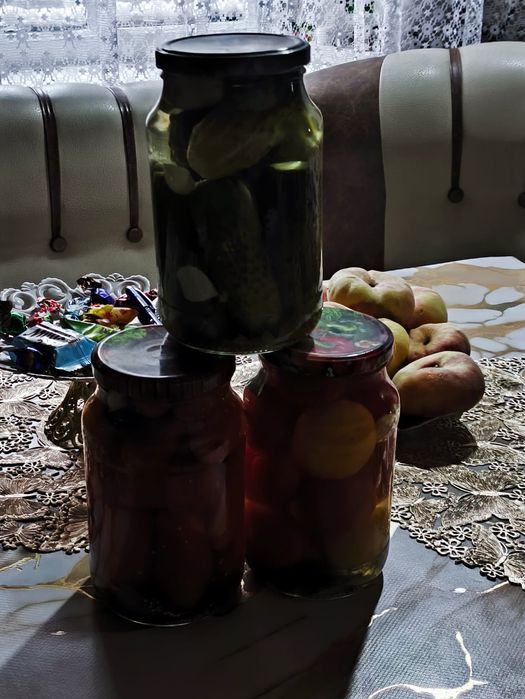 Продам огурцы и помидоры