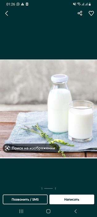 Козе продам зааненскии