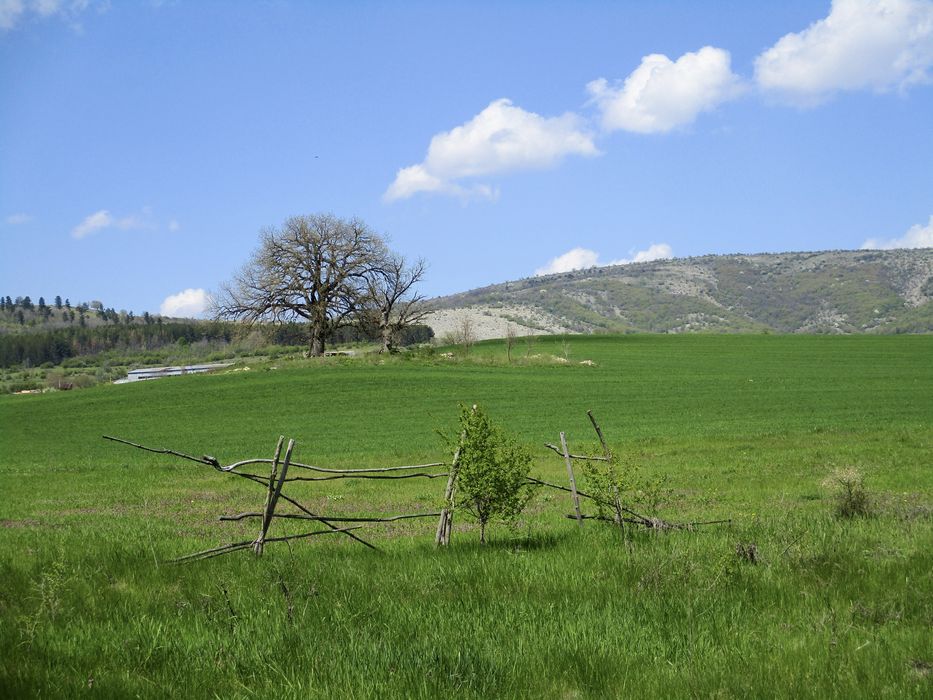 Дигитален фотоапарат Canon IXUS 185