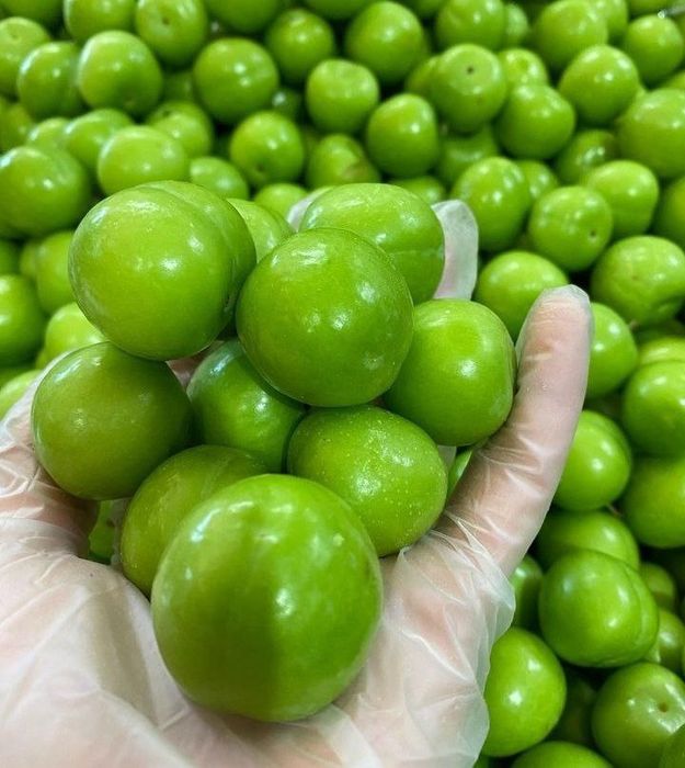 Dovcha svejisi bor 100 grami 50min som