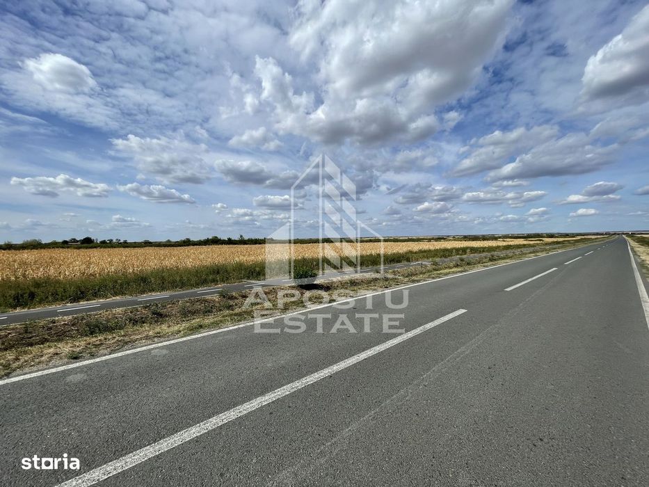 Teren 55.000 mp, front stradal 354 ml, asfalt, Remetea Mare -Ianova.
