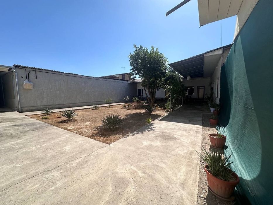 Олмазор туман охунбобоев