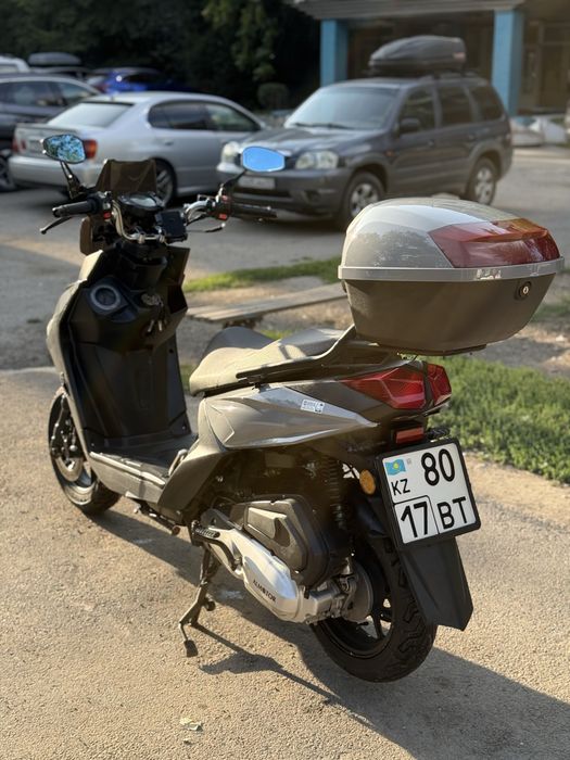 Samurai ALMOTOR AS48-Y10 2023 | Akrapovic | Документы