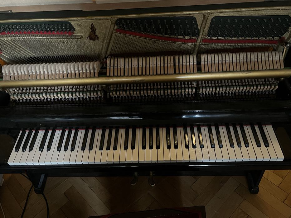 Pianina Doina, functionala