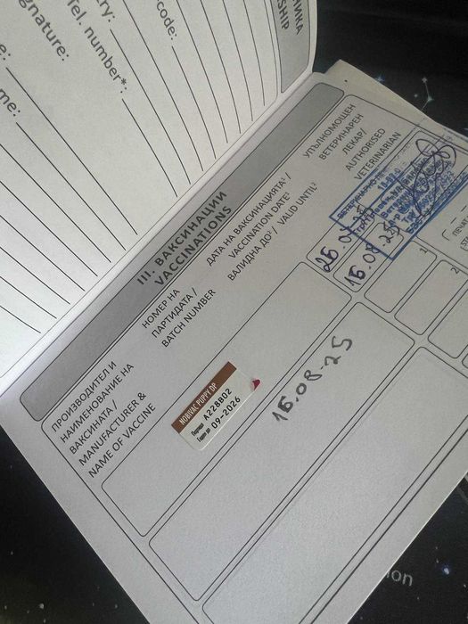 Намерени кученца търсят своя нов дом!