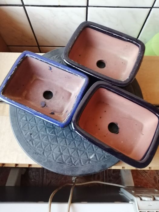 Бонсай саксии-среден и малък размер