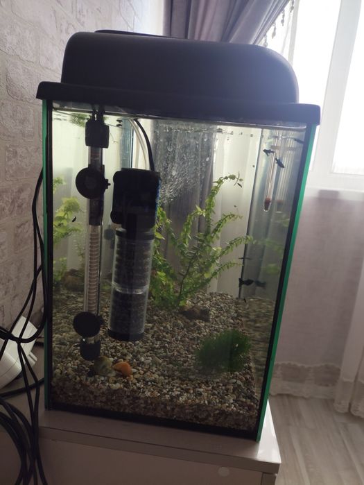 Продам Аквариум со всеми принодлежнестями