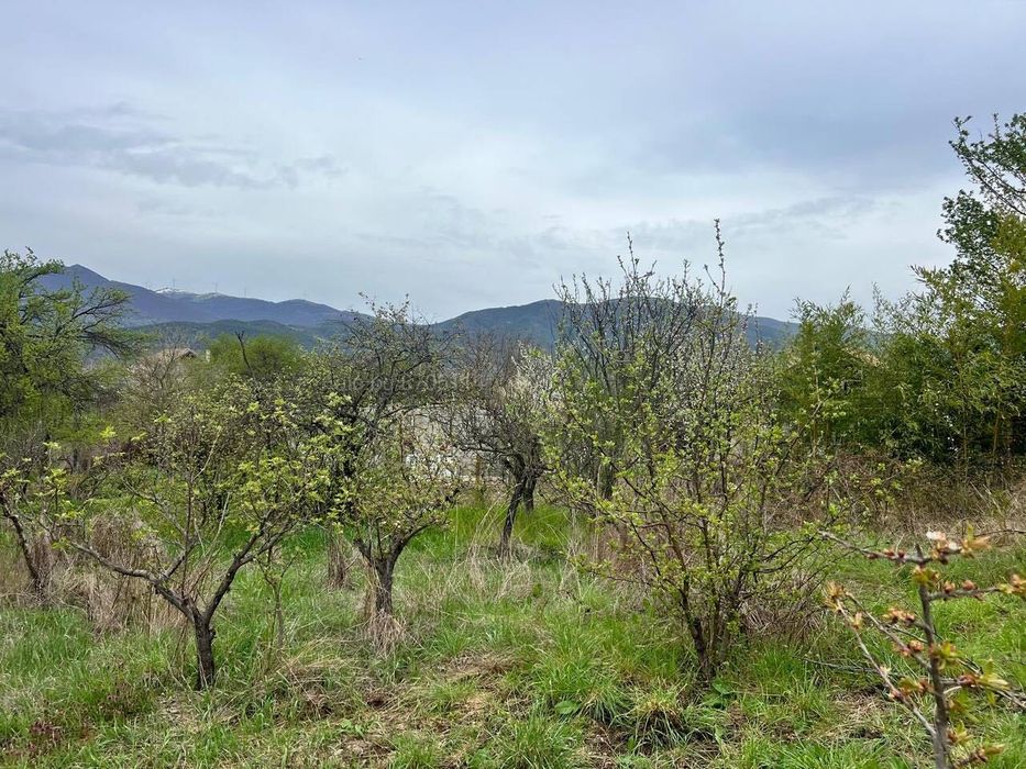 Живописен Парцел 251 кв. в Казанлък и Енина - Вилна Зона "Старите Лозя"