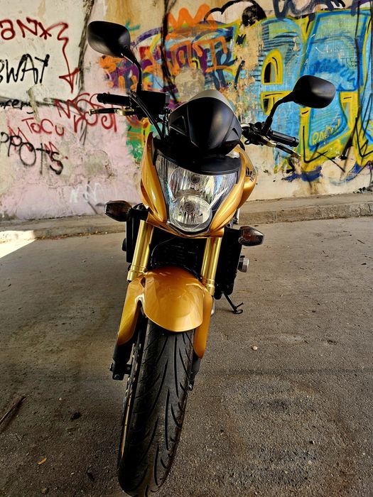 Honda Hornet PC41 - CB600F [2009]