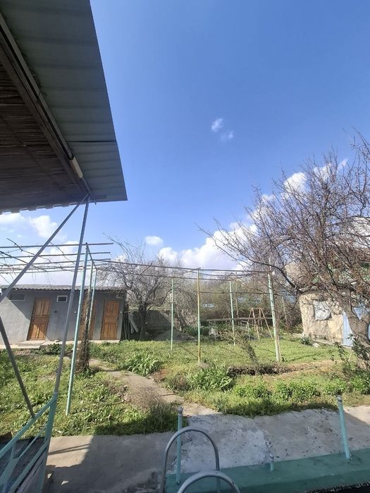 Parkent navboxor dacha sotiladi