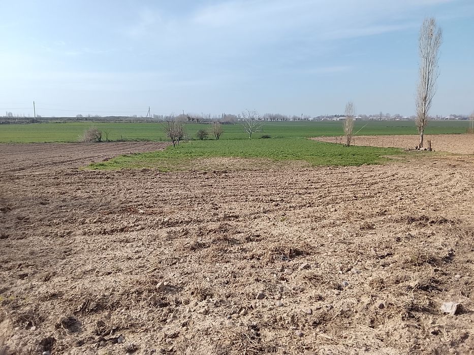 18 сотих йер учаскамиз сотувга чикти