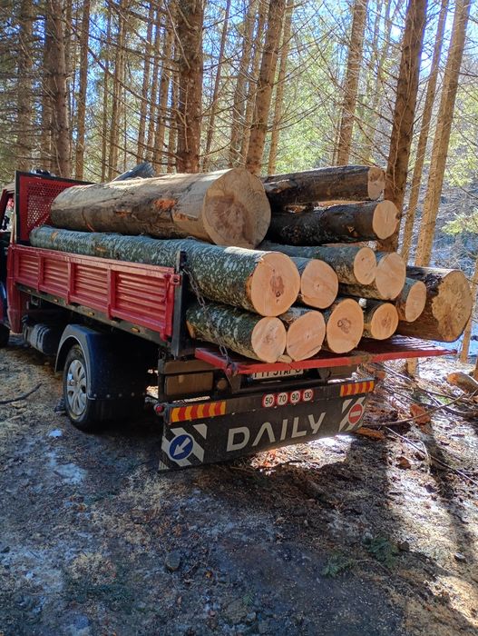 LEMNE DE FAG. Cumpără acum