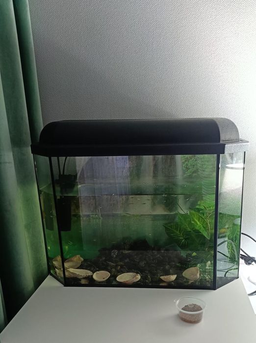 Продам аквариум со всеми принадлежностями