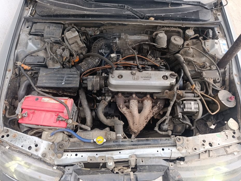 Продам Honda accord