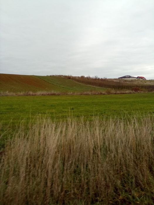 Vând 1 ha Les+ Nojorid cartier nou