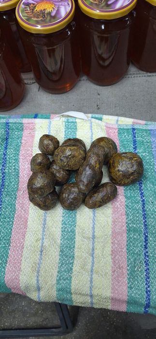 Пчелен клей(прополис)